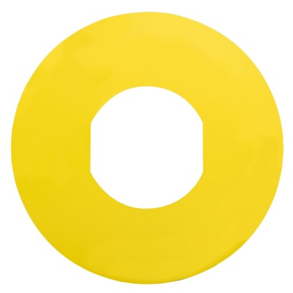 ZBY9101